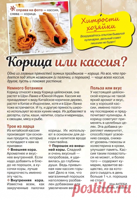 Корица или кассия?