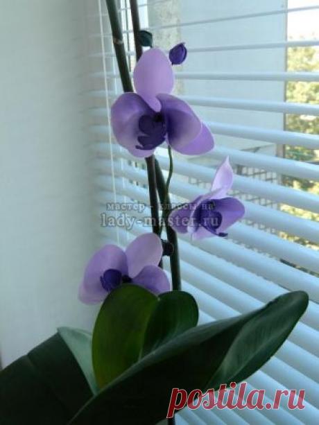 Орхидея из фоамирана - мастер-класс с пошаговым фото + шаблоны