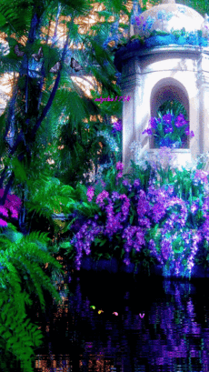 Живые фотографии – Живые картинки – Сообщество – Google+