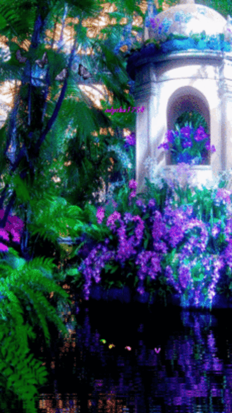 Живые фотографии – Живые картинки – Сообщество – Google+