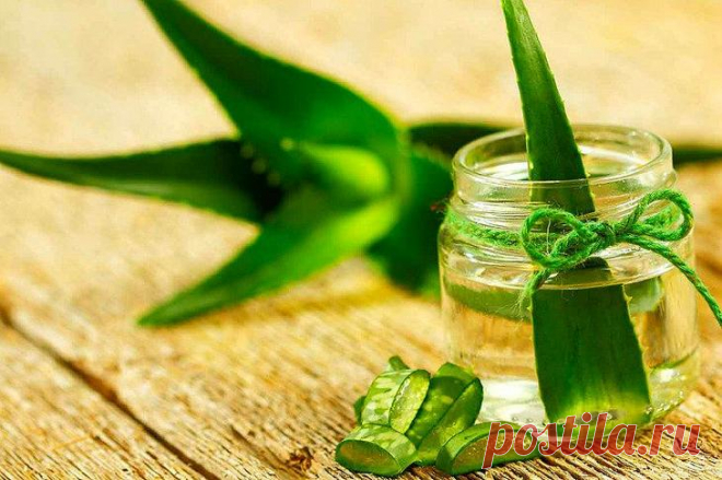 8 способов лечения туберкулеза народными средствами