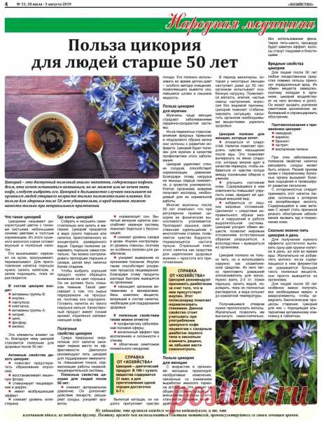 Польза цикория для людей старше 50 лет