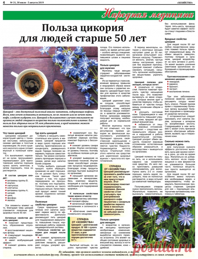 Польза цикория для людей старше 50 лет