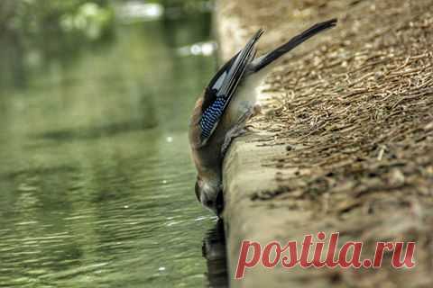(1) Facebook