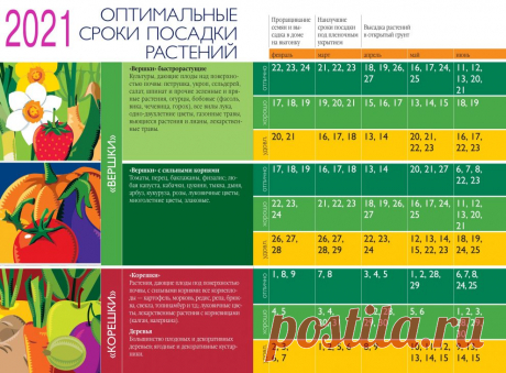 Календарь садовода, огородника и цветовода на 2021 года по Луне и знакам зодиака!