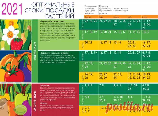 Календарь садовода, огородника и цветовода на 2021 года по Луне и знакам зодиака!