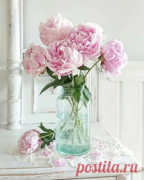 i (690×862)
