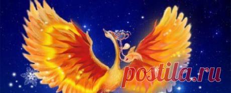 Жар-Птица вестник Рая