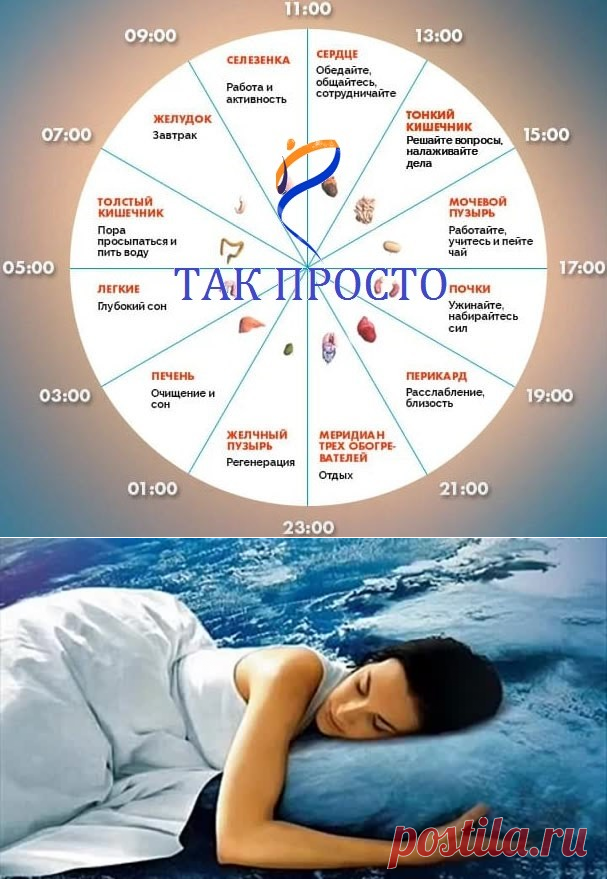 ЕСЛИ НЕ СПИТСЯ В ОДНО И ТО ЖЕ ВРЕМЯ, ОРГАНИЗМ ПРОСИТ О ПОМОЩИ!!