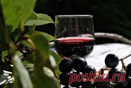 Настойка на черноплодной рябине на самогоне: лучшие рецепты