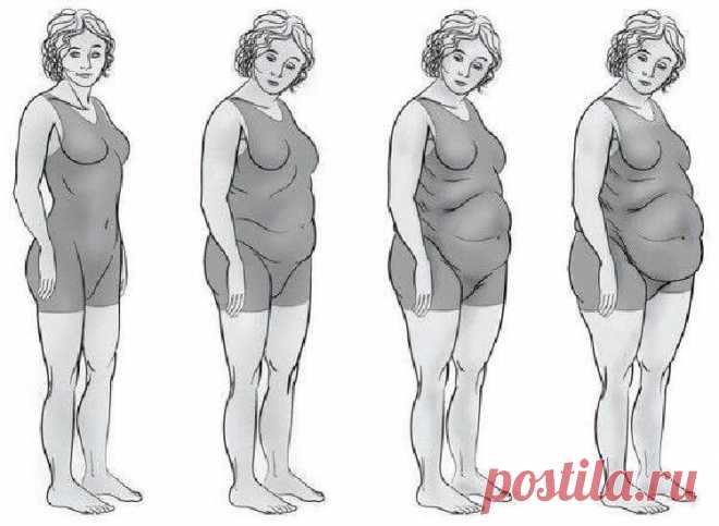 Какой у вас гормональный сбой в организме: Легко узнать по типу фигуры - Советы для женщин