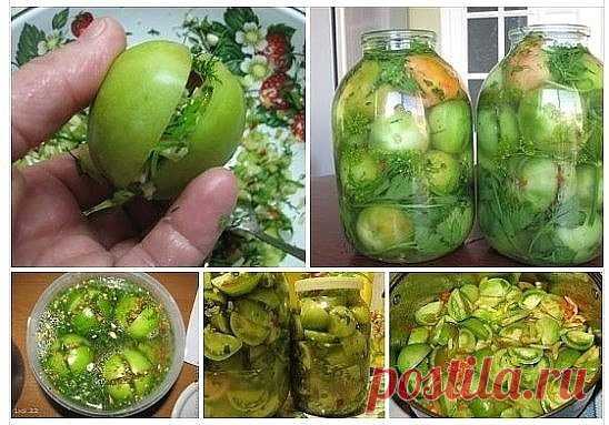 26 СУПЕР РЕЦЕПТОВ ИЗ ЗЕЛЕНЫХ ПОМИДОРОВ
На любой вкус!
1. Зеленые помидоры «пальчики оближешь»
На 3 кг. помидоров
200 гр. зелени: петрушка, укроп, листья вишни
(или смородины)
100 гр. репчатого лука (я в каждую банку
нарезала по пол луковицы)
1 головка чеснока
Заливка:
3 литра воды
9 ст. ложек сахара
2 ст. ложки соли
2-3 штуки лаврового листа
5 горошин перца душистого
1 стакан 9% уксуса
Растительное масло (берется из расчета
1 ст. ложка на литровую банку)
2. Такие же помидо...