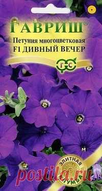 Семена. Петуния многоцветковая 
