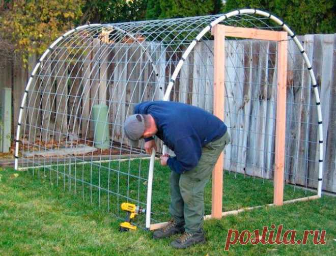 Отличная теплица своими руками за 30 минут и всего за 500 рублей с установкой которой, справиться даже женщина. | Блондинка на даче | Яндекс Дзен