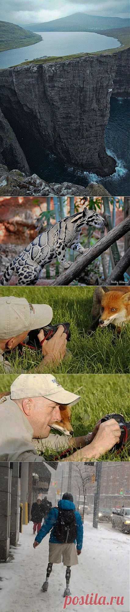 (+1) тема - Фотографии которые заставляют смотреть на мир | Улетные картинки