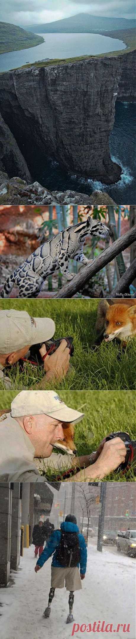 (+1) тема - Фотографии которые заставляют смотреть на мир | Улетные картинки