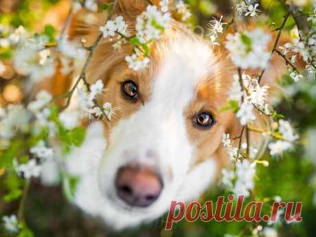 ༺🌸༻Доброе утро!