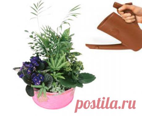 Полив растений