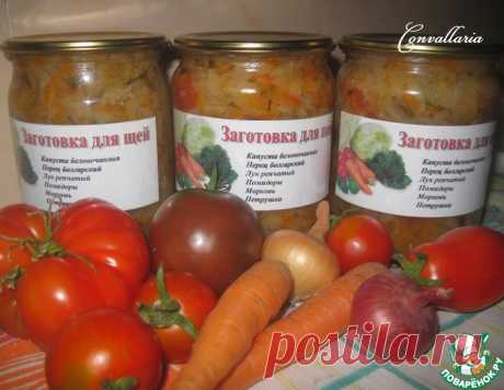 Заготовка для щей – кулинарный рецепт