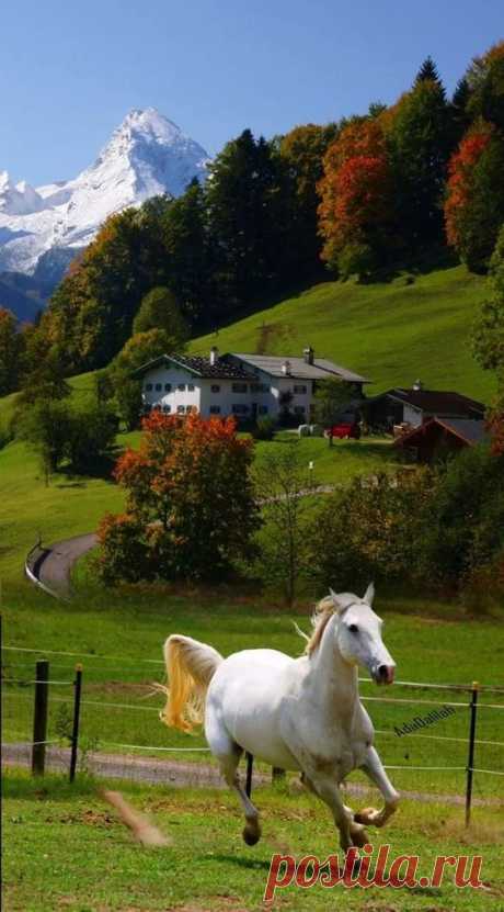 (9) Pinterest