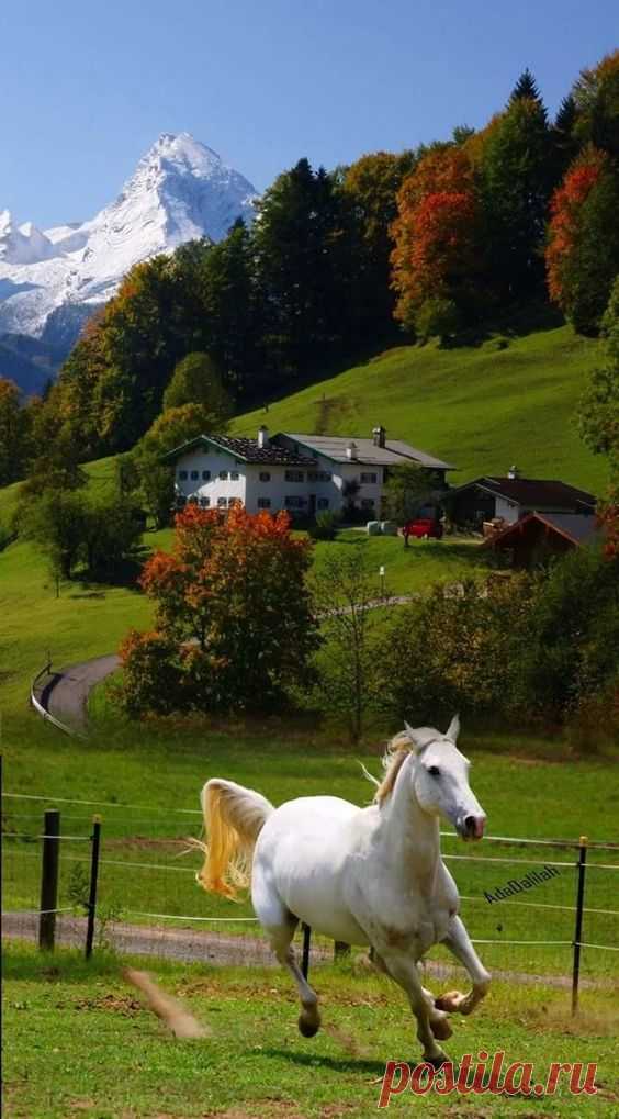 (9) Pinterest
