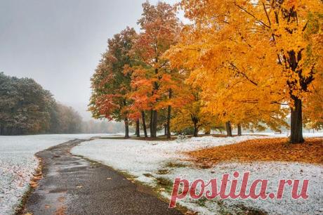 Мой Мир@Mail.Ru