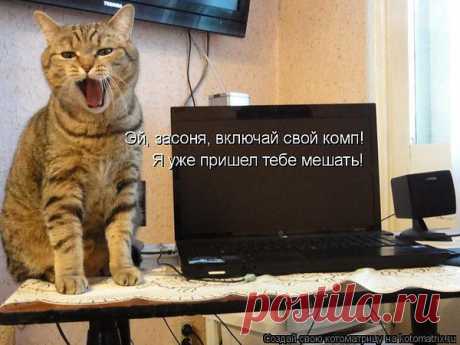 Интересные новости
