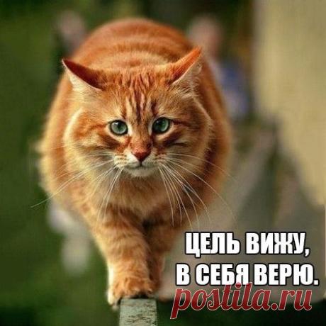Интересные новости