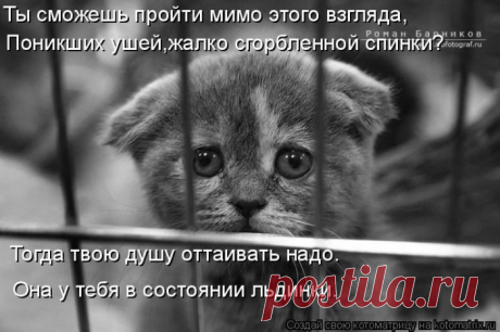 а еще хуже, если там ГРАНИТНЫЙ КАМУШЕК...