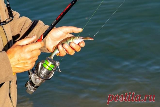 Спиннинг весной – что надо знать о приманках? | Рыбалка для людей | Яндекс Дзен