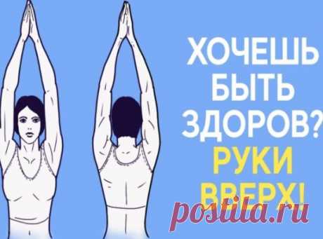 ПОЛЕЗНО ПОДНИМАТЬ РУКИ ВВЕРХ
Естественное положение рук человека — опущенные вниз. Но, как утверждают физиотерапевты, очень полезно в течение дня поднимать их вверх.
Во-первых, при поднятых руках желудочно-кишечный тракт становится менее извилистым, что способствует быстрому прохождению пищи. Таким образом происходит профилактика процессов гниения и брожения, развития дисбактериоза.
Во-вторых, поднимая руки вверх, вы препятствуете их отвисанию. Отвисшие руки деформируют позвоночник, вследствии ч