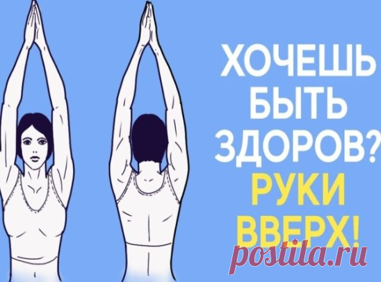 ПОЛЕЗНО ПОДНИМАТЬ РУКИ ВВЕРХ
Естественное положение рук человека — опущенные вниз. Но, как утверждают физиотерапевты, очень полезно в течение дня поднимать их вверх.
Во-первых, при поднятых руках желудочно-кишечный тракт становится менее извилистым, что способствует быстрому прохождению пищи. Таким образом происходит профилактика процессов гниения и брожения, развития дисбактериоза.
Во-вторых, поднимая руки вверх, вы препятствуете их отвисанию. Отвисшие руки деформируют позвоночник, вследствии ч
