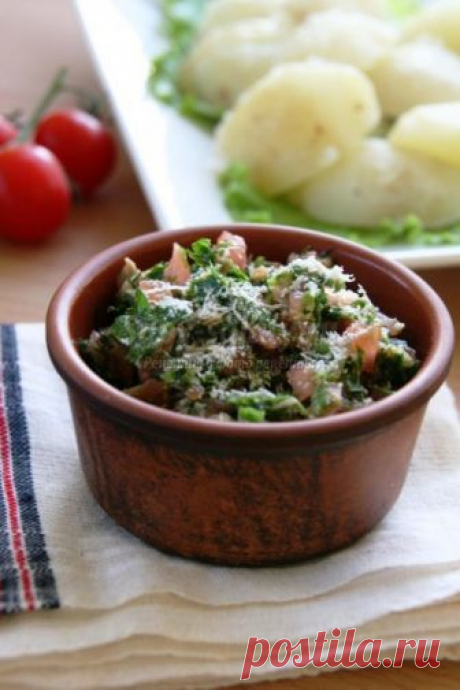 Соус сальса с помидорами и пармезаном. Рецепт с пошаговыми фото