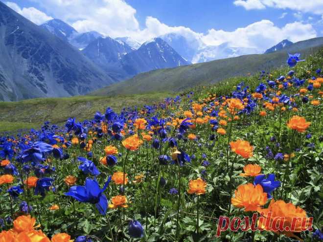 пейзажи горного алтая фото: 2 тыс изображений найдено в Яндекс.Картинках