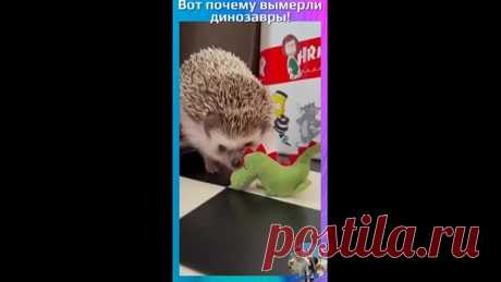 Вот почему на самом деле вымерли динозавры