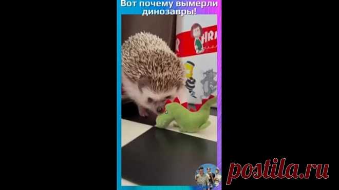 Вот почему на самом деле вымерли динозавры