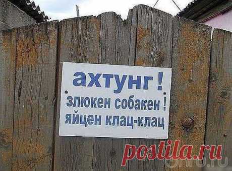 Ольга Богомолова