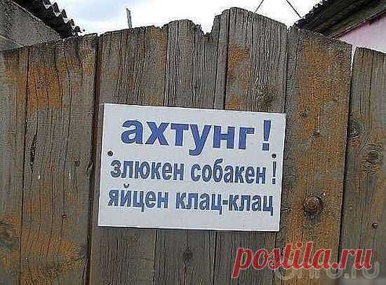 Ольга Богомолова