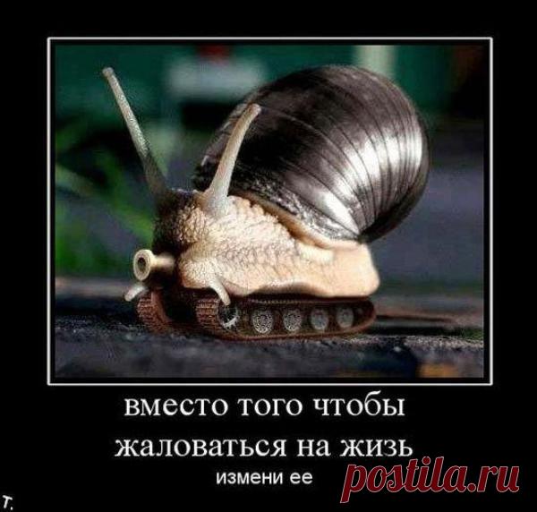 Свободный Бизнес - Только добавь Трафик ! #FreeBiz
Узнать больше = пиши в ЛС