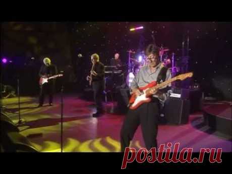 The Shadows - The Final Tour Live (2004)