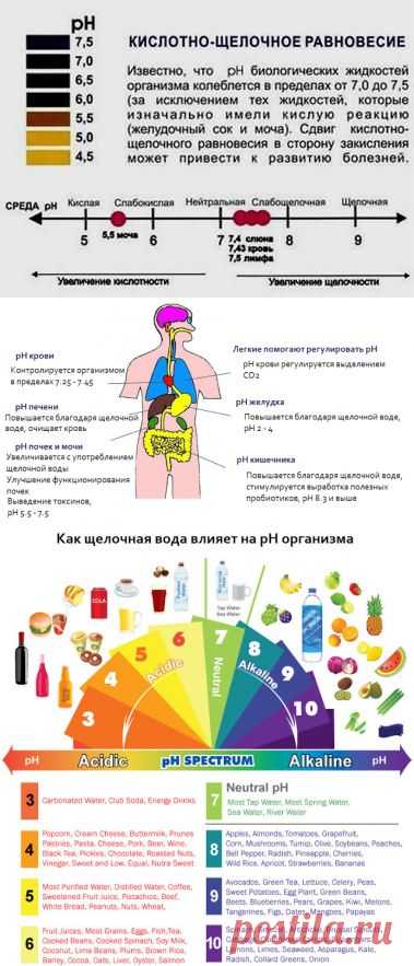 ВедаМост: Кислотно-щелочной баланс организма (рН-баланс), или Кислотно-щелочное равновесие (КЩР)