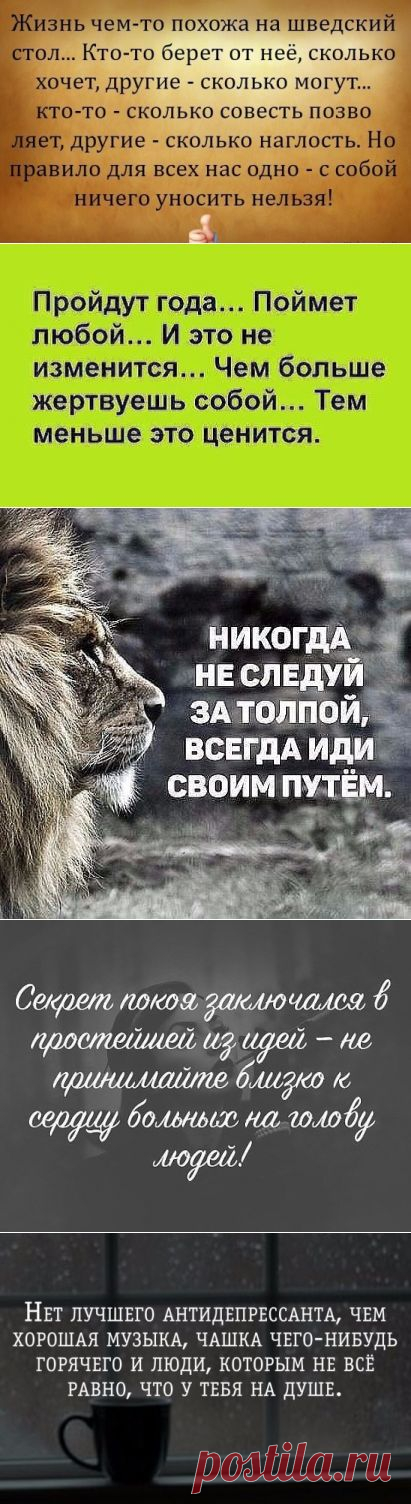 (52) Одноклассники