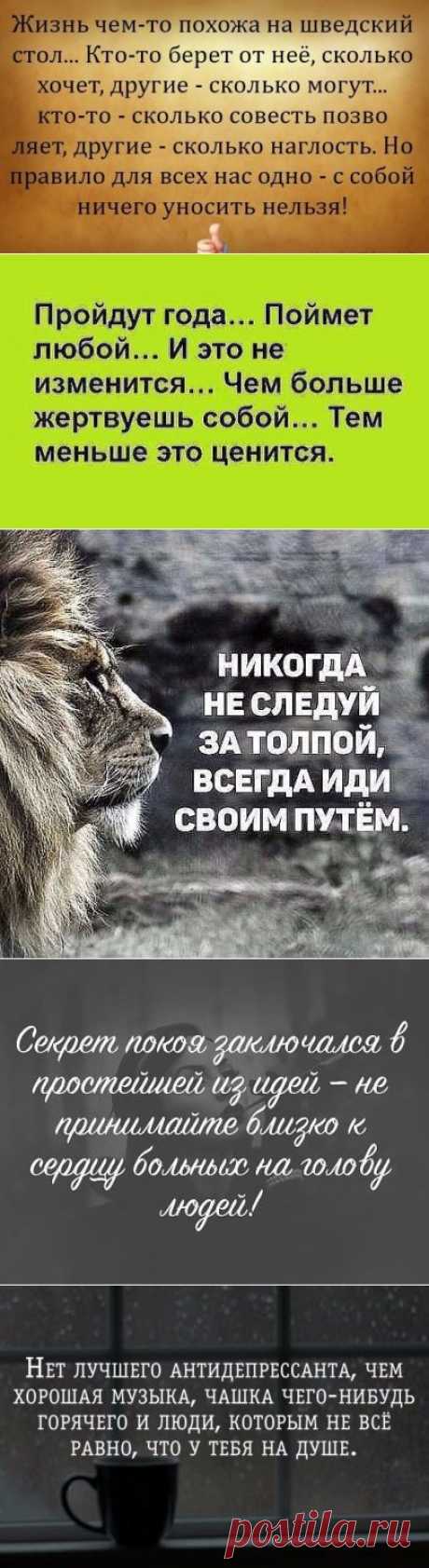 (52) Одноклассники