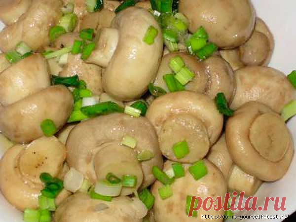 Маринованные грибы – шампиньоны..