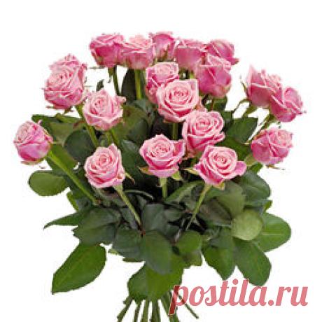- Blumen online verschicken auf FloraPrima.de