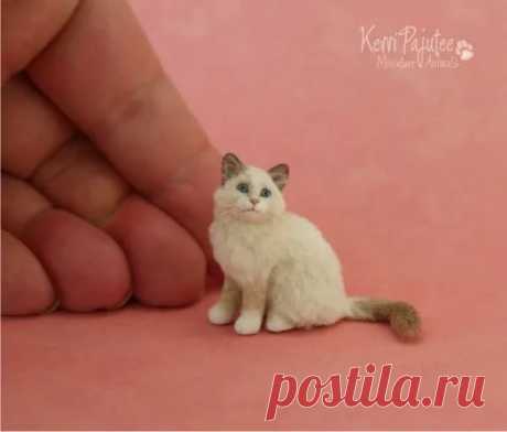 как сделать миниатюру кошки: 14 тыс изображений найдено в Яндекс.Картинках