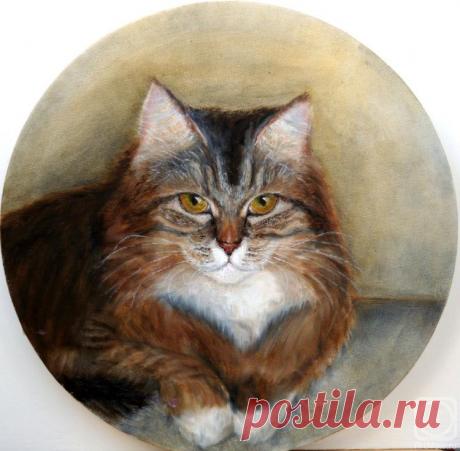 «Кошка Муся, 18 лет» картина Разумовой Светланы маслом на холсте — купить на ArtNow.ru