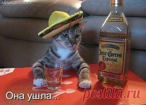 грусть-тоска..