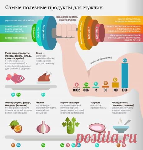 Общие принципы здорового питания едины для всех: больше овощей и фруктов, меньше жареного мяса, соли и сахара. Но есть некоторые продукты, которые как-то по-особенному влияют на здоровье мужчин. Что это за продукты и какое воздействие они оказывают расскажет / Абсолютное здоровье