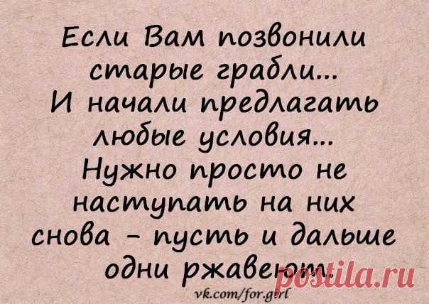 Новости